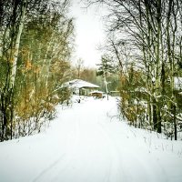 ЛЕСНАЯ ИСТОРИЯ :: HART BAD