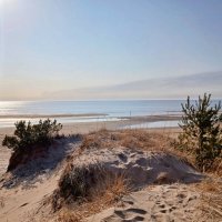 Луч солнца золотого... :: Лия ☼