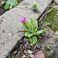 ,,, :: Сергей Тимоновский