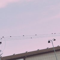 14  КЛОС (73) :: СТРЕН 