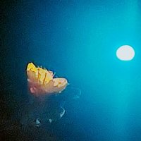 14  КЛОС (77) :: СТРЕН 