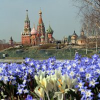 1 апреля в Зарядье :: Михаил Бибичков 1 апреля в Зарядье :: Михаил Бибичков