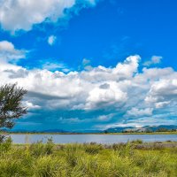 Весенние облака. :: юрий Амосов