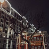 Дерево :: Larisa Kuznetsova