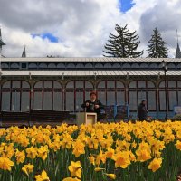 парк Цветник :: Игорь Kуленко