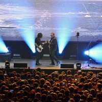 "КИНО" продолжение :: александр донченко