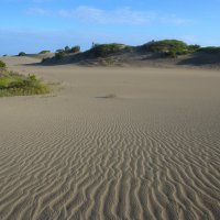 Кусочек Доминиканской республики. :: unix (Илья Утропов)