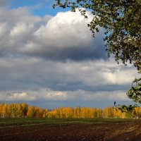 Осень тучи нагоняет. :: nadyasilyuk Вознюк Осень тучи нагоняет. :: nadyasilyuk Вознюк