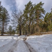 Дорогами весны. :: Николай 