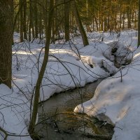 Вешние воды :: Сергей Цветков