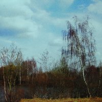 Весенний денёк :: Людмила Смородинская