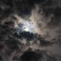 Когда наступает ночь :: Мариша Тим