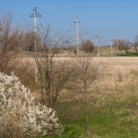 Остатки прошлой осени :: Игорь Сикорский