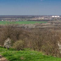 Окрестности города Армавир :: Игорь Сикорский Окрестности города Армавир :: Игорь Сикорский