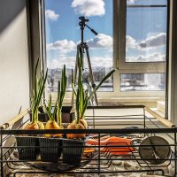 Усть-Каменогорск :: Дмитрий 