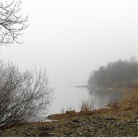 *** :: Aleksandr Gal