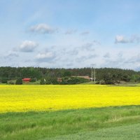 Svalsta :: Александр Ильчевский 