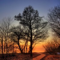 *** :: Сергей Григорьев