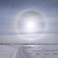 Весна :: Anna Ivanova