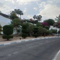 Египет. Шарм-эль-Шейх :: Ирэн 