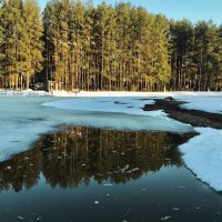 Немного солнца в холодной воде :: Татьяна 