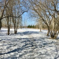 Апрельский полдень :: Татьяна 