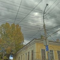 Из жизни проводов :: svk *