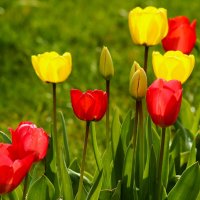 Какой хороший день :: Юрий. Шмаков