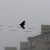 Апрельский этюд :: Елена Минина