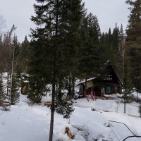 В лесу. :: Радмир Арсеньев В лесу. :: Радмир Арсеньев