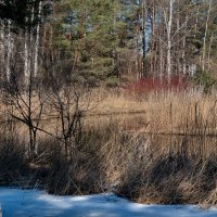 *** :: Геннадий Порохов