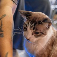 ... :: Жора Житников