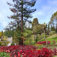 МАРТ :: Tata Wolf