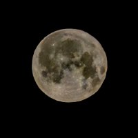 213 :: Анастасия Верушкина