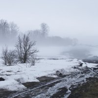 Туманно :: Олег Денисов