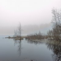 Апрельское утро на озере :: Валерий Иванович