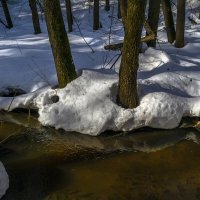Талые воды :: Сергей Цветков