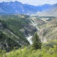 Река Аргут в ущелье :: Галина Козлова Река Аргут в ущелье :: Галина Козлова