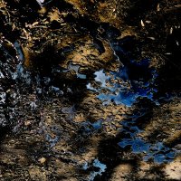 * :: Сергей Полянский * :: Сергей Полянский