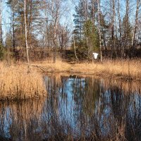 *** :: Геннадий Порохов