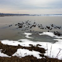 Разлив. :: Алексей Окунеев