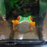 Не залипай! Я отлипаю :: АЛЕКСЕЙ СЕРГЕЕВИЧ