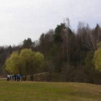 Ранняя весна 1 :: Анна Воробьева