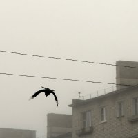 Апрельская диагональ :: Елена Минина