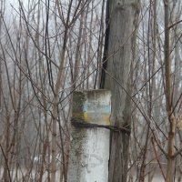 - Отпусти, дубина :: Елена Минина