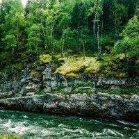 ТАЕЖНЫЕ РЕКИ :: HART BAD