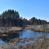 Велимья :: Роман Пацкевич