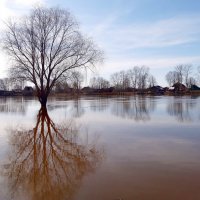 Разлив реки. Апрель :: Наталья ***