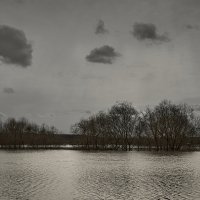 разлив :: Sergey Gorelov