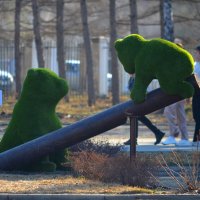 Вот и зелень :: Savayr Вот и зелень :: Savayr